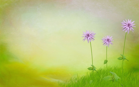 3 d arts - flower, vector, green, art