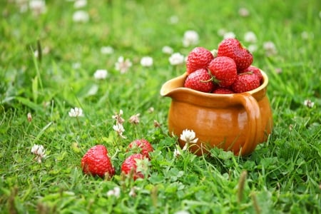 â™¥Strawberryâ™¥ - yummy, strawberry, summer, meadow, flowers, grass, berries