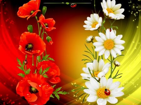 Floral background - ladybird, pretty, beautiful, flowers, spring, freshness, poppies, nice, lovely, daisies, floral, colorful