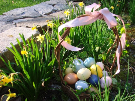 Basket of Easter Eggs in a Spring Garden - flowers, basket, Easter eggs, garden, spring, daffodils