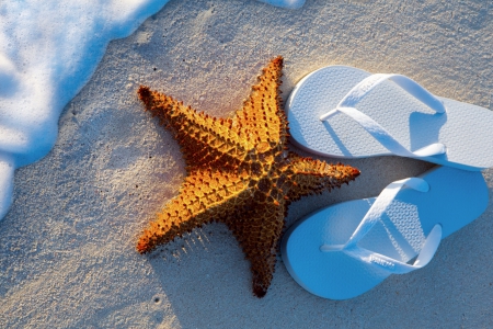 ♥Vacation Time♥ - starfish, summer, beach, vacation, sea, sand