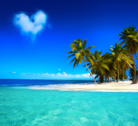 â™¥Tropical Paradiseâ™¥ - sky, ocean, paradise, palms, tropical, emerald, blue, island, sea