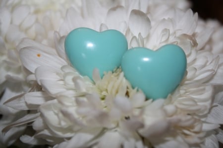 Petals & Hearts - white petals, Petals, blue hearts, Two hearts