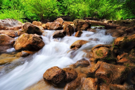 Little Waterfalls - nature, forest, stream, waterfalls, rocks