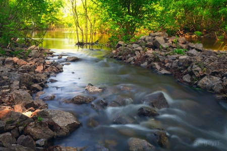 Waterfall - trees, water, stream, forest, mountain, green nature, nature, waterfall, waves, plants, lake, animals, rocks