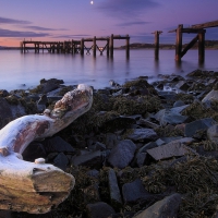 broken pier at a rocky shore