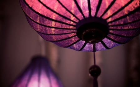 Lantern - purple, lantern, lanterns, violet