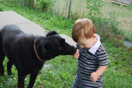 MAKING FRIENDS IN A CUTE WAY - CUTE, ADORABLE, GREETING, FRIENDSHIP