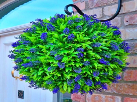 Hanging around - flowers, hanging, green, blue