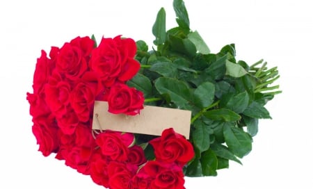 *Red roses * - red roses, roses, note, bouquet, love, romantic