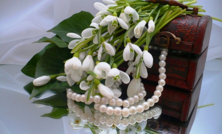 Spring is here! - pearls, photography, snowdrops, still life, spring, white, nature, box, reflection, flowers