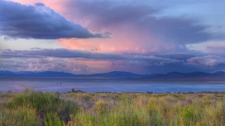 beautiful sky over mono lake in california - clouds, shore, lake, grass, pink, sky