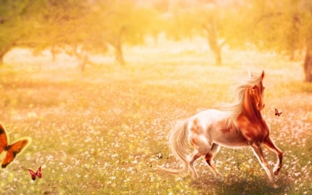 Fantasy with horse and butterflies - run, horse, butterfly, fantasy, orange, yellow, art