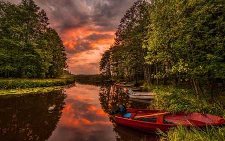 Boat - river, sunset, forest, boat