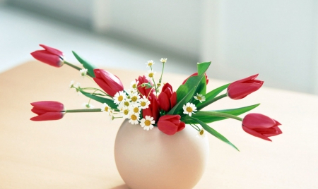 Spring beauty - flowers, vase, tulips, white, chamomile, stil-life, red, green