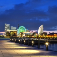 Yokohama Night