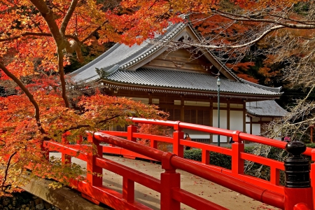 Tea House - autumn, japan, pagodas, maple, red, tree, japanese, bridge