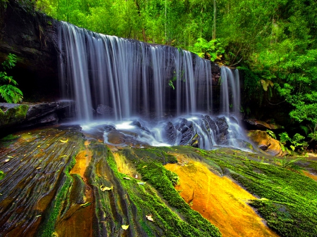 Water cascades - forest, greenery, water, beautiful, waterfall, lovely, trees, nature, cascades