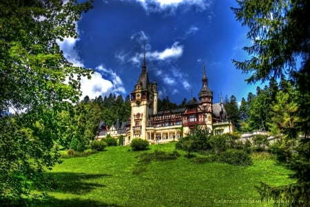 Castle - trees, landscape, buildings, tree, nature, castles, old, landscapes, castle, sky, building