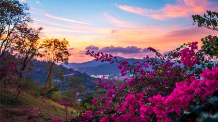 Promise of Spring - valley, sky, field, mountains, sunset, bright, clouds, flowers, sunrise