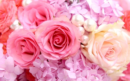 Flowers - roses, pink, flowers, rose, flower