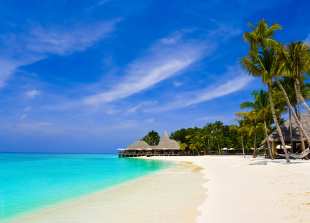 ♥Tropical Paradise♥ - sea, palms, tropical, beach