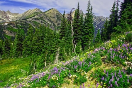 Mountain in spring - nice, slope, sky, mountain, lovely, rocks, nature, pretty, grenery, beautiful, flowers, grass, wildflowers, cliffs