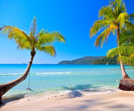 ♥Tropical Beach♥ - palms, summer, coast, blue, vacation, beach, sea, ocean, sand, tropical, paradise, emerald, sun