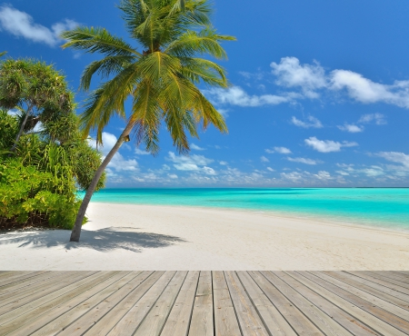 ♥Tropical Beach♥ - palms, coast, blue, beach, sea, ocean, sand, tropical, paradise, emerald