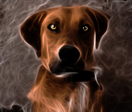 Forever loyal - pets, dogs, photoshop, photomanipulation, animals