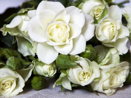 white rose bouquet - white, roses, flowers, bouquet, still life