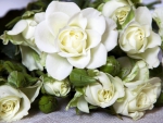 white rose bouquet