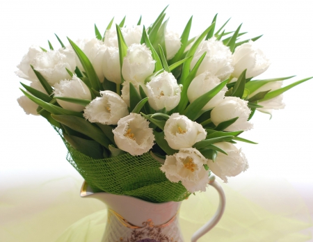 * White tulips * - flowers, flower, nature, tulips