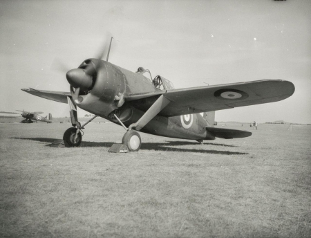 Brewster Buffalo - Royal Air Force, World War Two, Brewster Buffalo, RAF