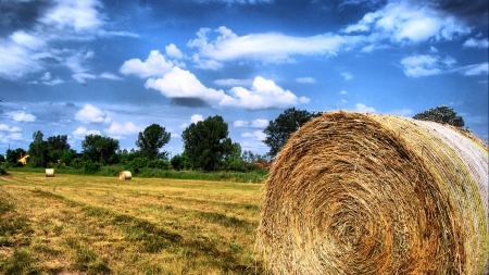 hay bales on a summer day - trees, field, bales, sky, ahy