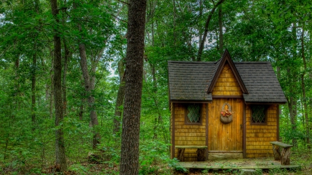 a fairy tale cabin in the forest