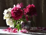 * Peonies *