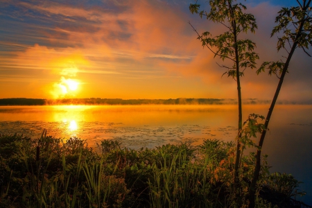 Sunset - sky, sunset, sunrise, sea