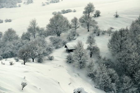 Beautiful Winter View - winter, photo, white, nice, photography, house, trees, nature, mountain, snow, bulgaria