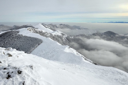 Beautiful Snowy  Mountain - top, winter, photo, white, clouds, photography, trees, nature, mountain, snow, bulgaria