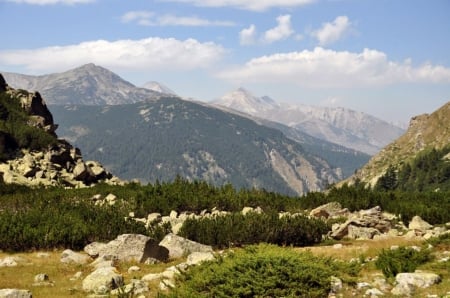 Spring Mountain - photo, spring, nice, photography, trees, nature, mountain, bulgaria, green