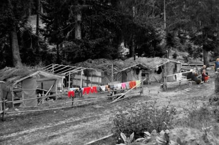 Photography - white, houses, black, photo, photography, colors, bulgaria