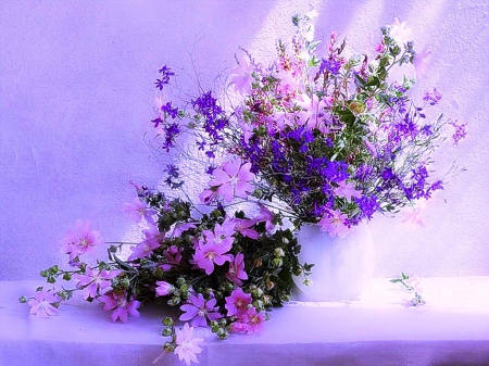 Purple - abstract, summer, beautiful, photography, flowers field, beauty, colors, pink, still life, blooming, flowers, white, purple