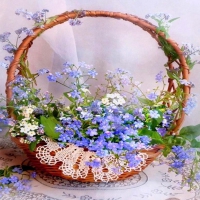 Forget me not flowers in small basket