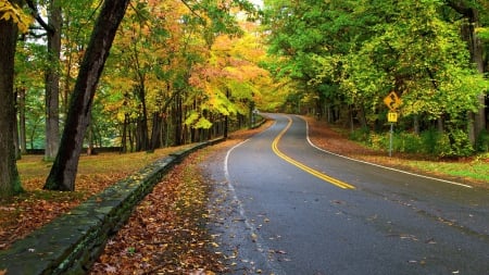 Autumn Road - autumn scene, autumn, autumn road, scenic autumn, beautiful autumn