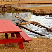 Relaxing Park Scene