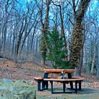 Tranquil Park Scene