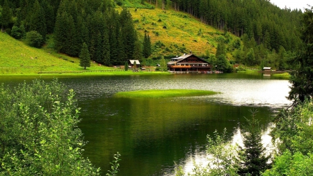 lodge on a lake - trees, hills, lodge, lake, cows