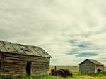 tractor parked between old shacks