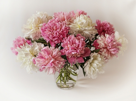 * Peonies * - nature, peonies, whire, bouquet, flowers, flower, spring, vase